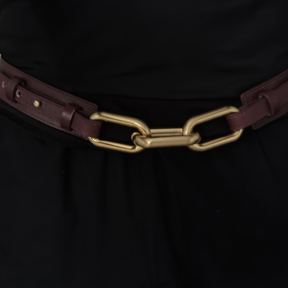Elegant Gold and Brown Women's Belt